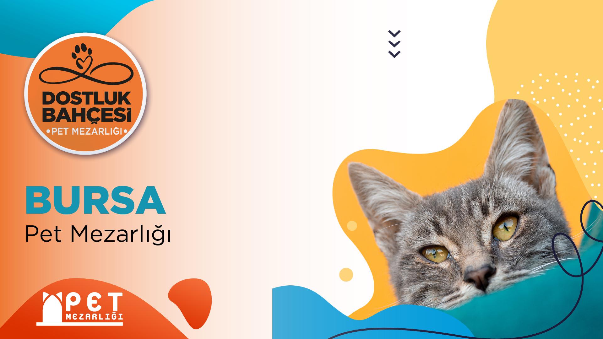 Evcil Hayvan ve Dostu - Özel An