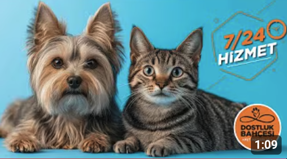 7/24 Yanınızdayız